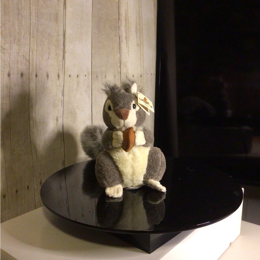 Squirrel - Picture 3 of 5